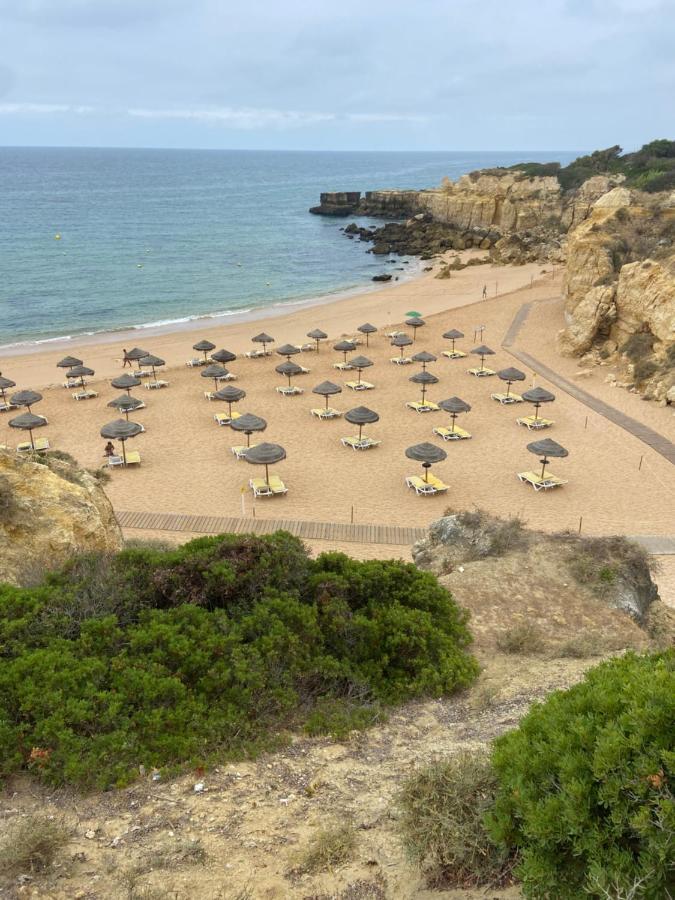 Parra Home Holidays - Close To Gale Beach 기아 외부 사진